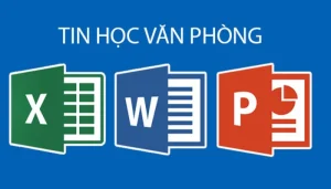 Khóa học tin học văn phòng: Lộ trình A-Z cho người mới bắt đầu